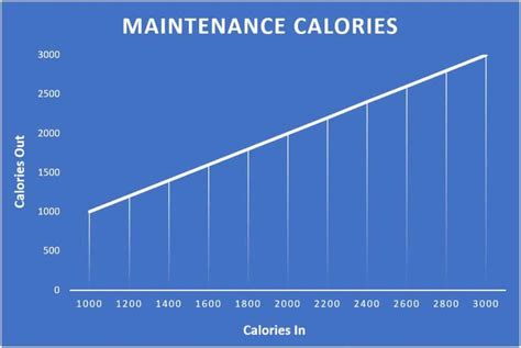 Maintenance Calorie Calculator - muktibox.com