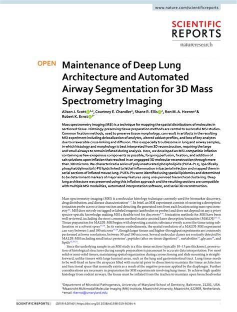 Maintenance of Deep Lung Architecture and Automated Airway Segmentation ... - raincitystudios.com