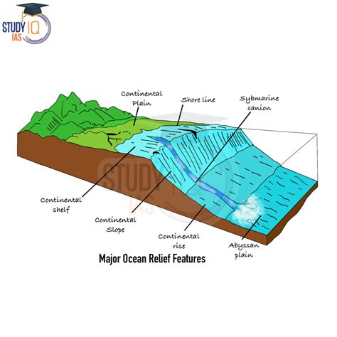 Major and Minor Ocean Relief Features - PMF IAS - raincitystudios.com