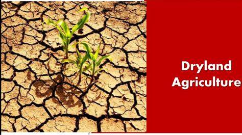Major Areas :: Dryland Agriculture - raincitystudios.com