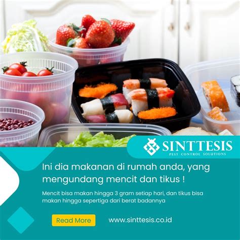Makanan - Minuman - Tanpa - Kemasan - Plastik - raincitystudios.com