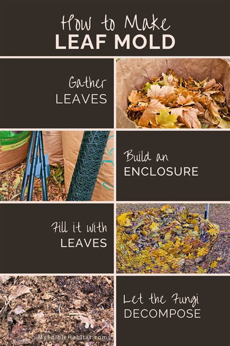 Make Your Own Leaf Mold with This Step-by-Step Guide - raincitystudios.com