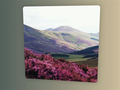 Making a tilt-on-hover effect in React JS without CSS - muktibox.com