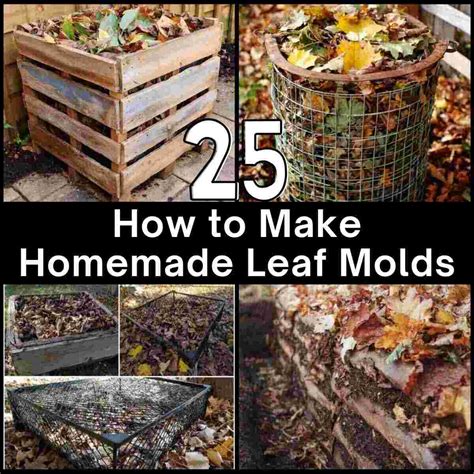 Making and Using Leaf Mold - LSU AgCenter - raincitystudios.com