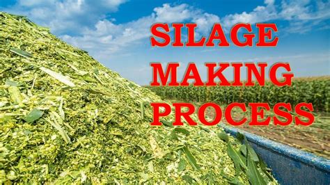 Making Complete Silage the Easy and Simple Way - raincitystudios.com