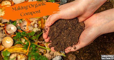 Making Continuous ORGANIC COMPOST - LIQUID … - raincitystudios.com