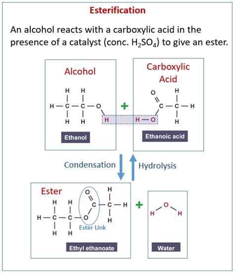 Making Esters From Carboxylic Acids - Chemistry … - wintechmobiles.com