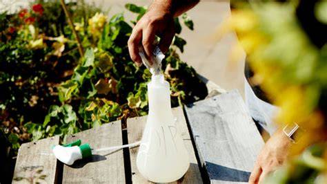 Making Homemade Natural Sprays - The Little Veggie … - raincitystudios.com