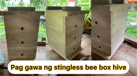 Making Stingless Bee box hive 3Layer - raincitystudios.com