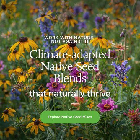 MAKING STRATEGIC SEED COLLECTIONS FOR NATIVE PLANT … - raincitystudios.com