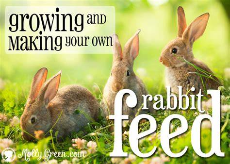 Making your own rabbit feed - Homesteading Forum - raincitystudios.com