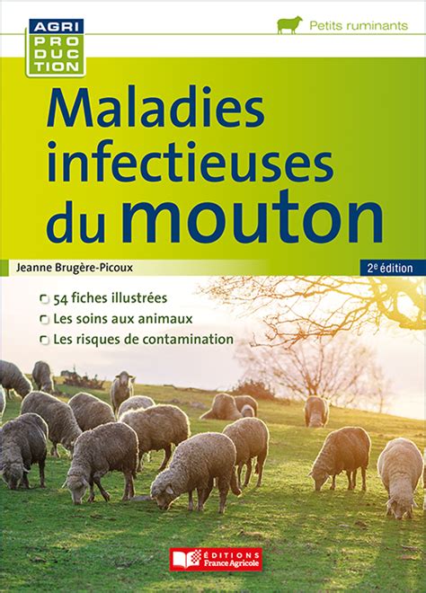 MALADIES DU MOUTON