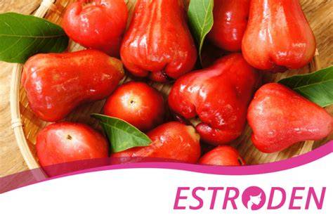 Malay Apple Health Benefits for Your Body | Estroden - raincitystudios.com