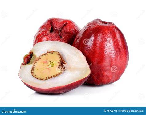 Malay Apple royalty-free images - Shutterstock - raincitystudios.com
