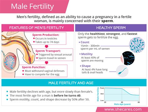 Male fertility as a marker for health - Reproductive BioMedicine Online - muktibox.com