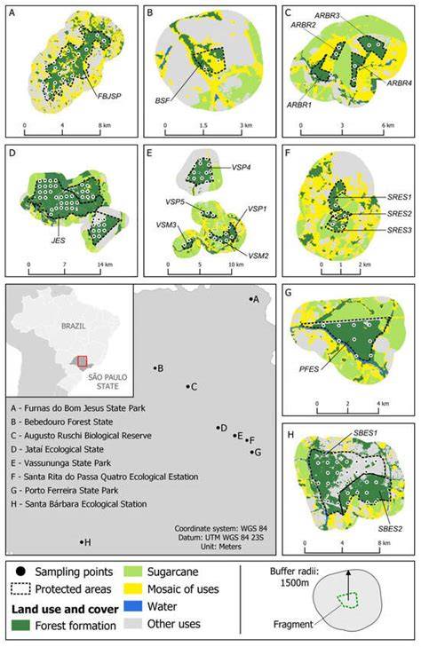 Mammals as Key Species in the Maintenance of Ecosystem Services … - raincitystudios.com