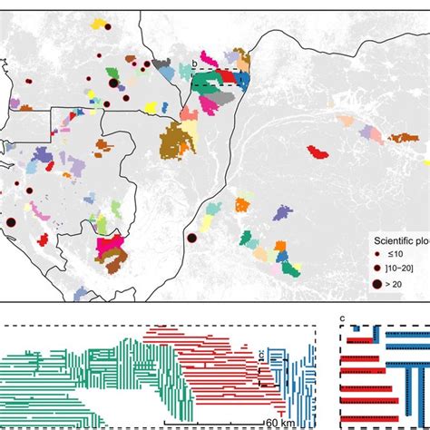 Managed Forest Concessions - Datasets - AmeriGEOSS Community … - raincitystudios.com