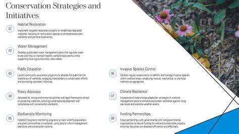 Management and conservation strategies for coldwater … - raincitystudios.com
