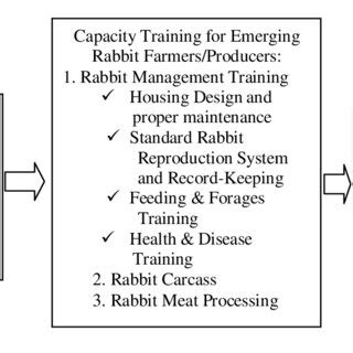 MANAGEMENT PRACTICES OF AN EMERGING RABBIT … - raincitystudios.com