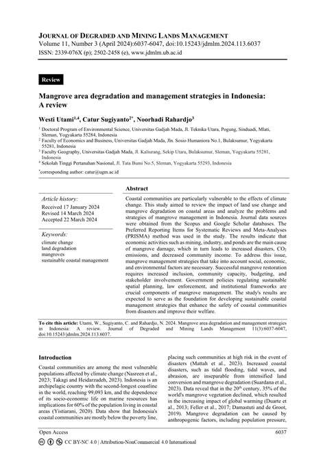 Management Strategies of Mangrove Degradation in Coastal Areas of ... - raincitystudios.com