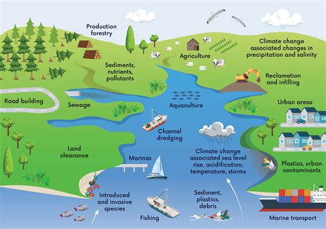 Managing estuaries for ecosystem function - ScienceDirect - raincitystudios.com