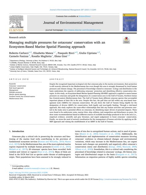 Managing multiple pressures for cetaceans’ conservation with an ... - raincitystudios.com
