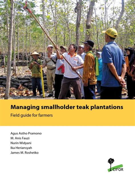Managing Smallholder Teak Plantations | PDF - raincitystudios.com