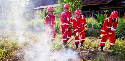 Managing wildfires - UNEP - UN Environment Programme - raincitystudios.com