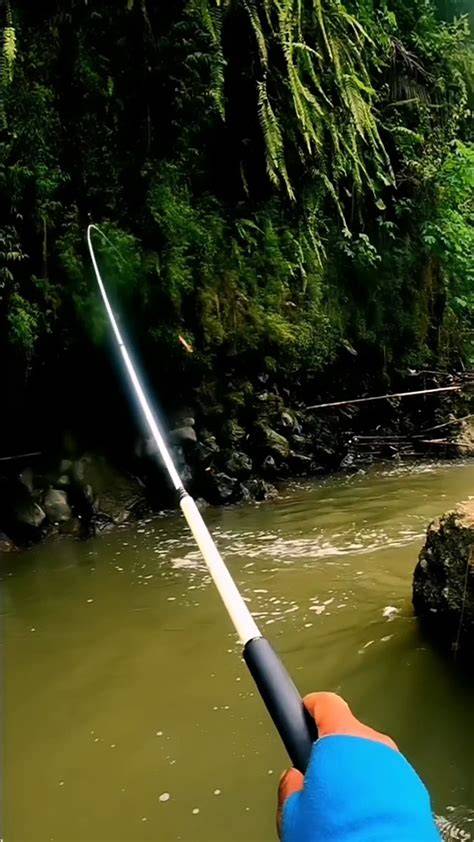 Mancing Tawes Sirip Merah di Lumajang - raincitystudios.com