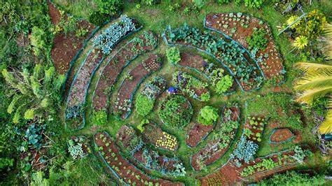 Mandala Gardens: Transform Your Outdoor Space - raincitystudios.com