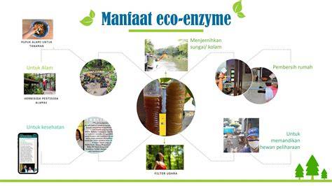 MANFAAT ECO ENZYME PADA LINGKUNGAN - raincitystudios.com