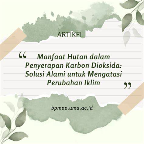 Manfaat Hutan dalam Penyerapan Karbon Dioksida - raincitystudios.com