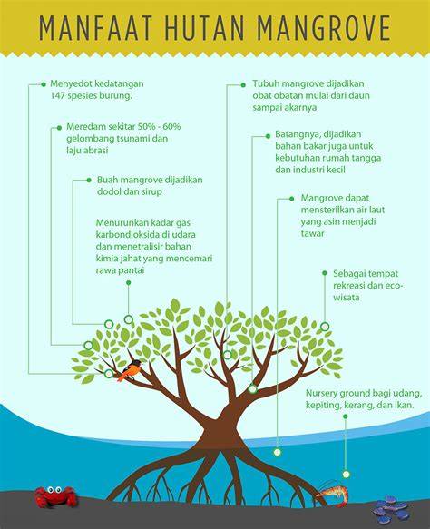 Manfaat Hutan Mangrove - Penjaga Ekosistem Pesisir … - raincitystudios.com