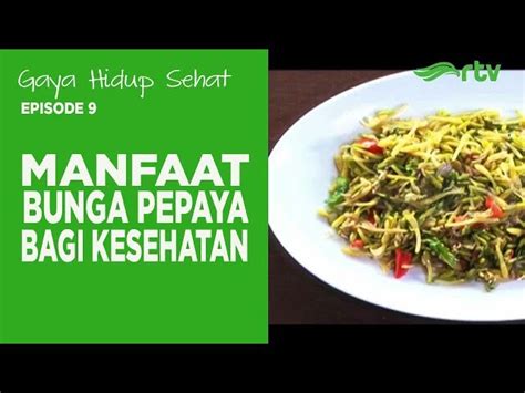 Manfaat Kates - muktibox.com