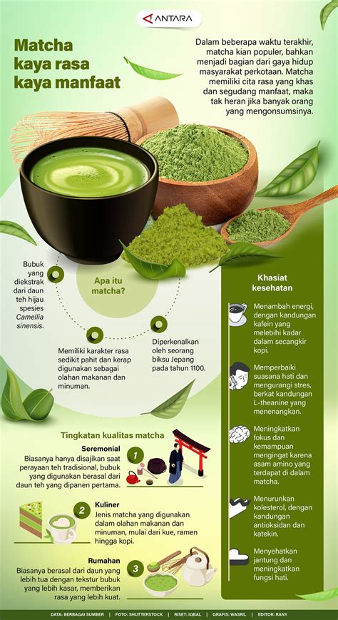 Manfaat Matcha untuk Rinitis Alergi - muktibox.com