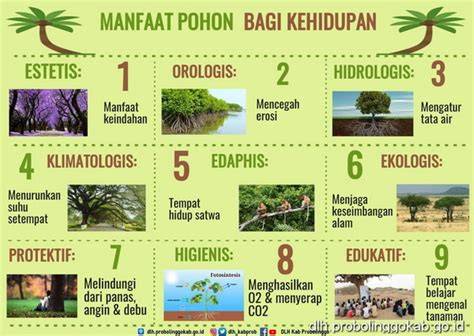 Manfaat Menanam Pohon bagi Lingkungan Hidup - raincitystudios.com