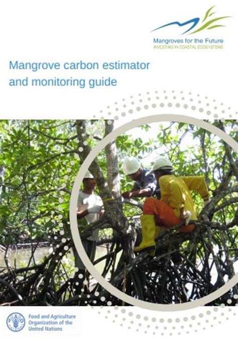 Mangrove carbon estimator and monitoring guide - FAO - raincitystudios.com