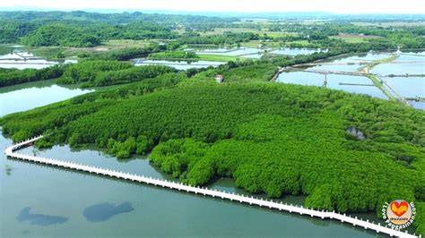 Mangrove Eco-Park | Urban Nature Atlas - raincitystudios.com