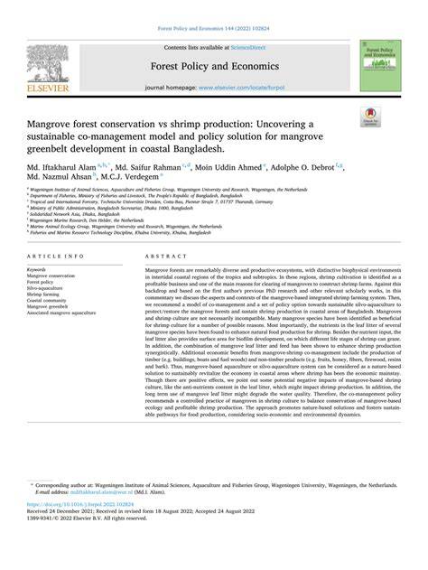 Mangrove forest conservation vs shrimp production: Uncovering a ... - raincitystudios.com