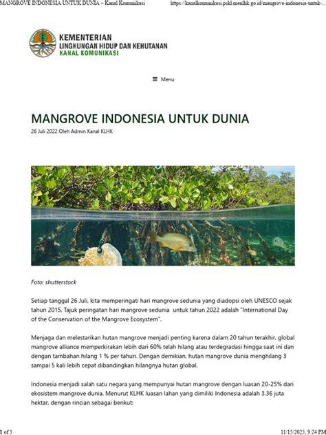 Mangrove Indonesia Berperan dalam Mitigasi … - raincitystudios.com