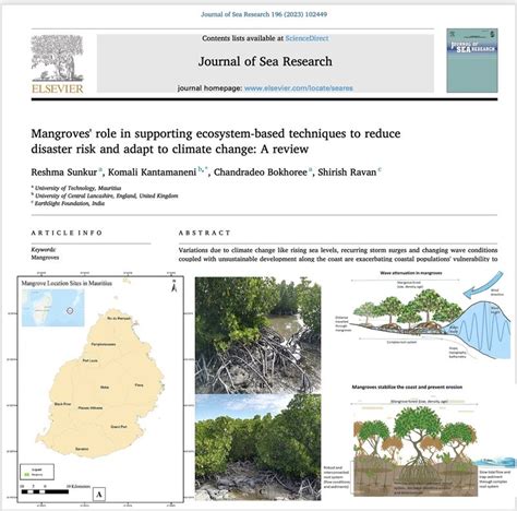 Mangroves' role in supporting ecosystem-based techniques to reduce ... - raincitystudios.com