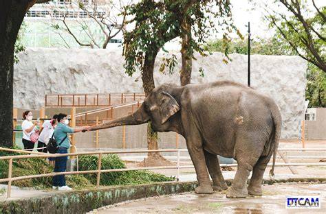 Manila Zoo | Rediscover the New Manila Zoo - raincitystudios.com