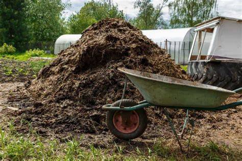 Manure & Nutrient Management - BeefResearch.ca - raincitystudios.com