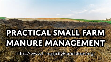 Manure Management on Small Farms - LPELC - raincitystudios.com