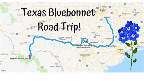 MAP: Best places to take bluebonnet, wildflower photos