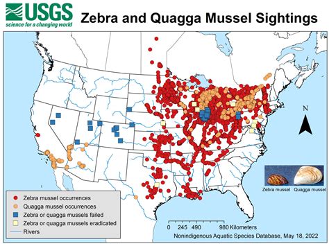 MAP: Zebra mussels are now in 35 lakes across Texas