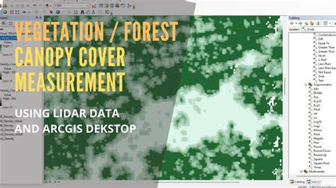 Mapping canopy cover for municipal forestry monitoring: Using free ... - raincitystudios.com