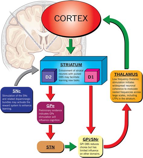 Mapping deep brain stimulation-modulated circuits via ... - Nature - muktibox.com