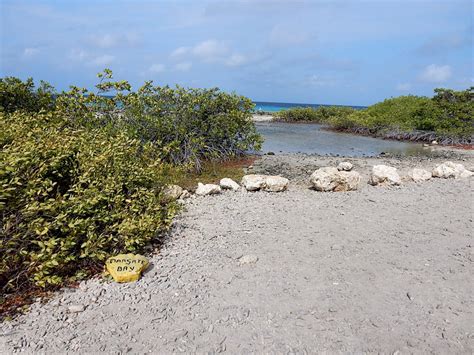 MARGATE BAY, Bonaire, Dive Site Information - Divers guide