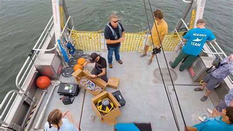 Marine and coastal science - UNSW Sydney - raincitystudios.com